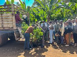 Eco-friendly Coffee Farming