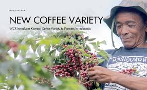 New Coffee Varieties